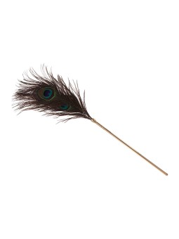 Plumeau à caresses Peacock Tickler - Taboom