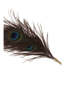 Plumeau à caresses Peacock Tickler - Taboom